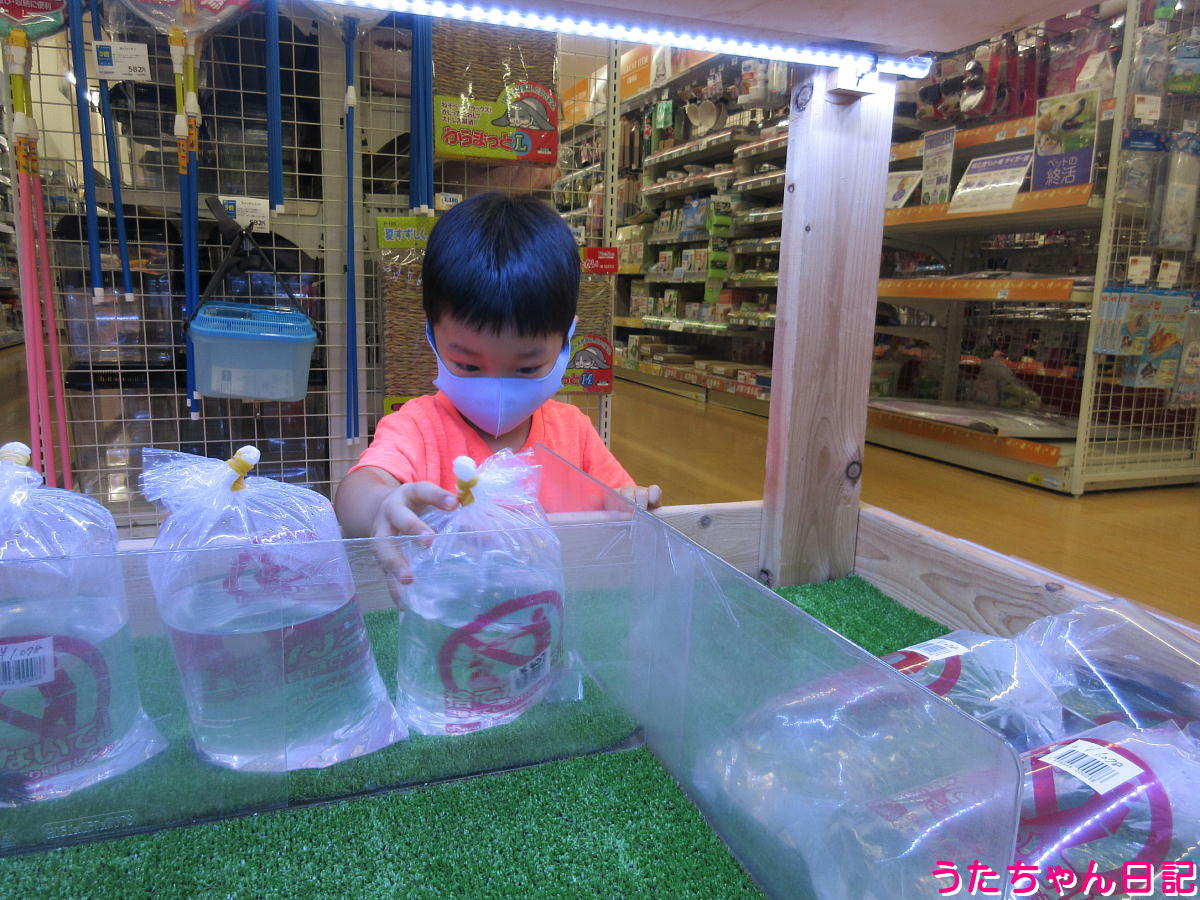 f:id:utachan0831:20211226024421j:plain