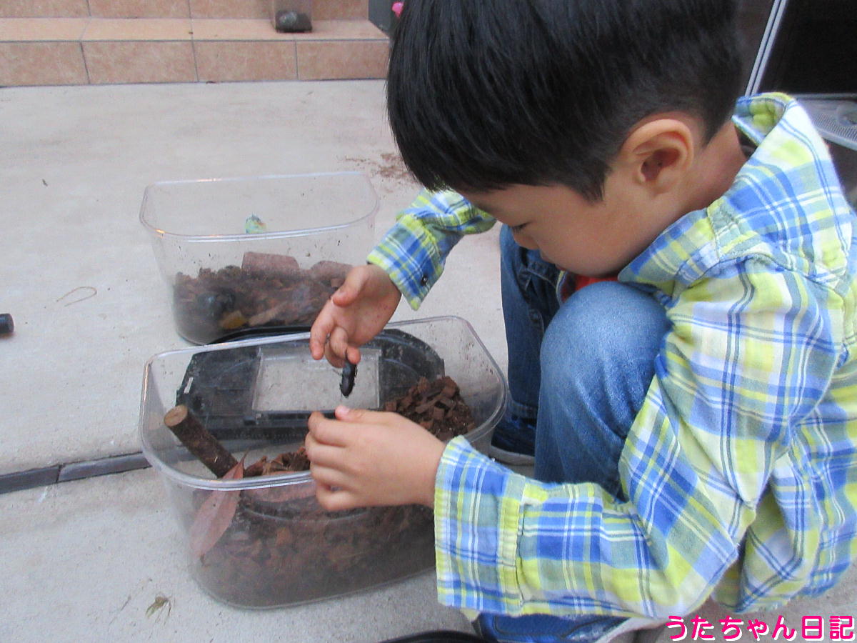f:id:utachan0831:20211226024443j:plain