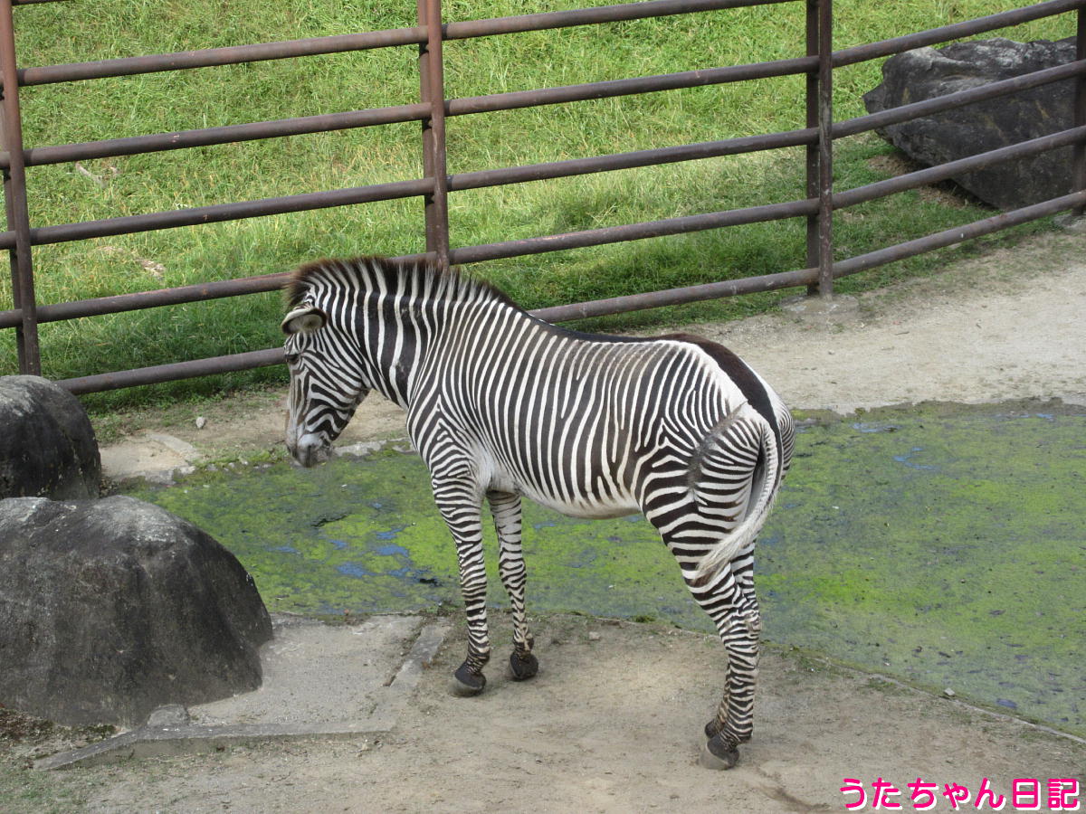 f:id:utachan0831:20211226221702j:plain