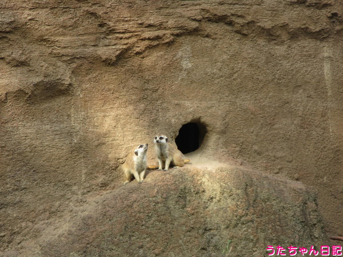 f:id:utachan0831:20211226221717j:plain