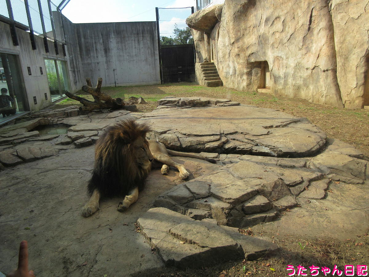 f:id:utachan0831:20211226221725j:plain