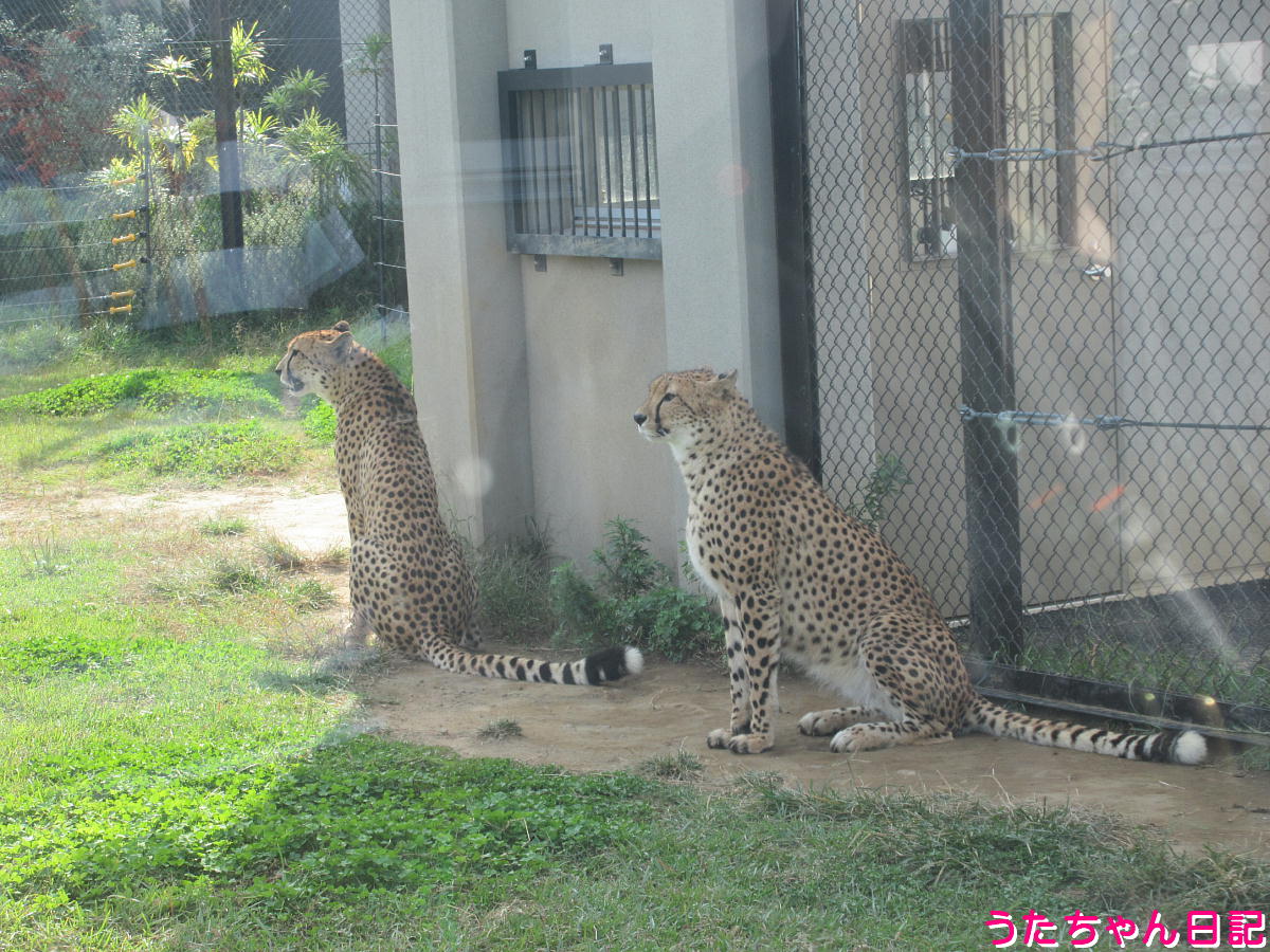 f:id:utachan0831:20211226221733j:plain