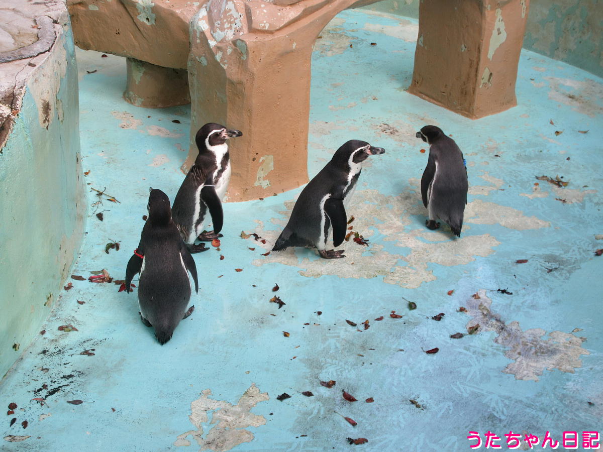 f:id:utachan0831:20211226221742j:plain