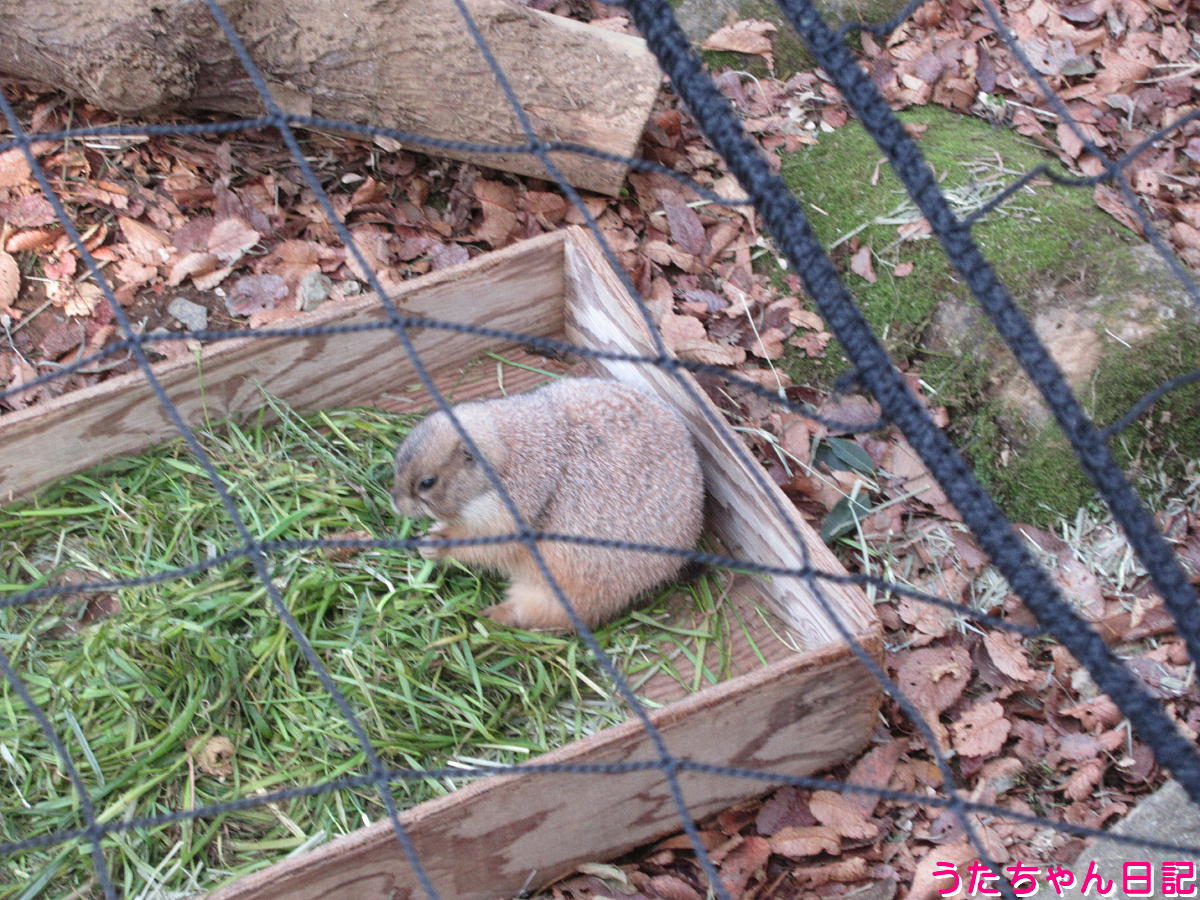 f:id:utachan0831:20211226221750j:plain