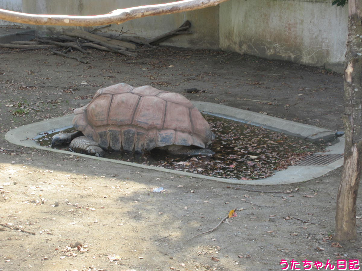 f:id:utachan0831:20211226221758j:plain