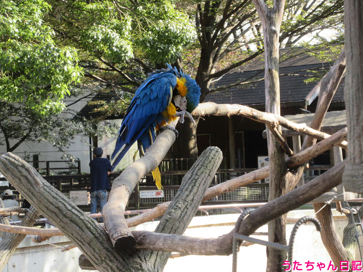 f:id:utachan0831:20211226221807j:plain