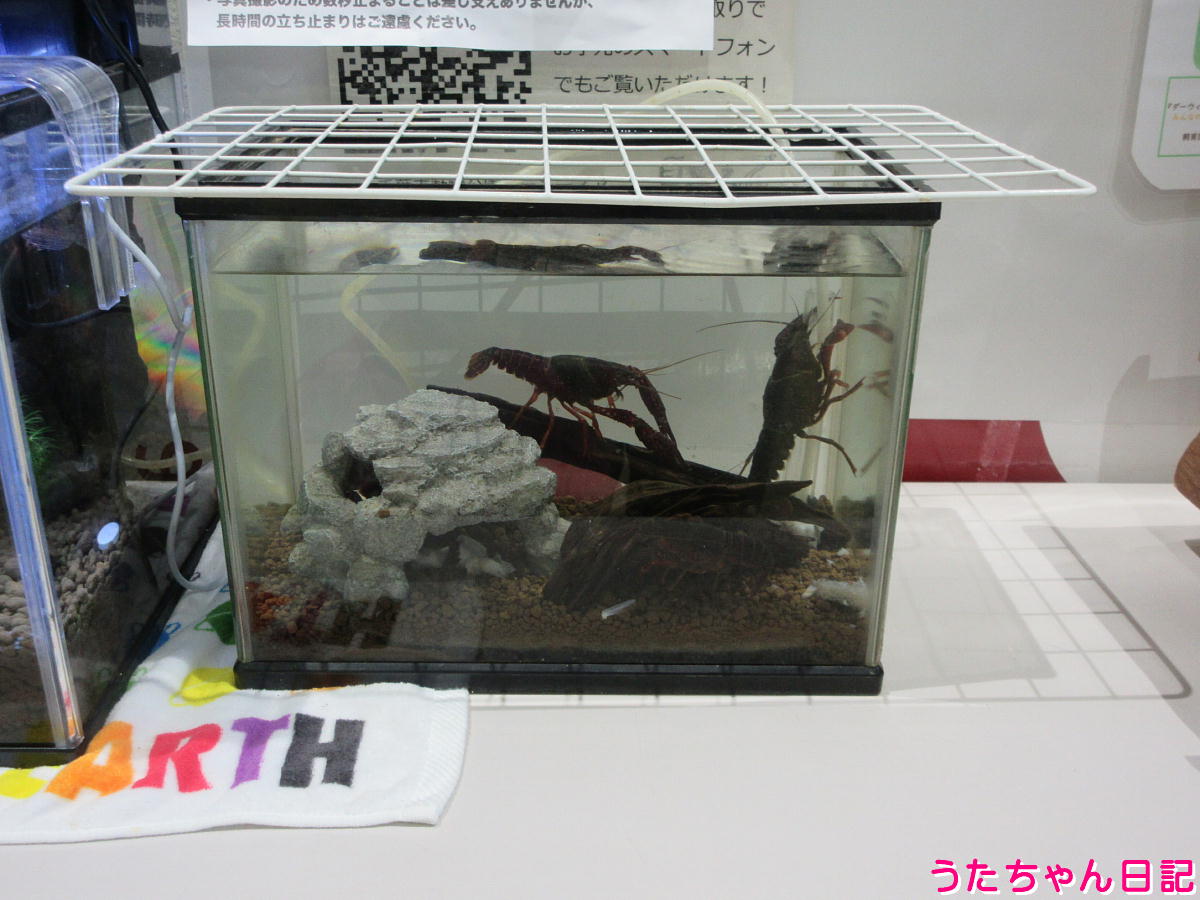 f:id:utachan0831:20211226221826j:plain