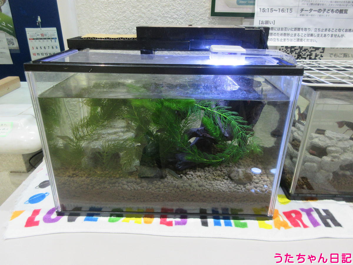 f:id:utachan0831:20211226221837j:plain