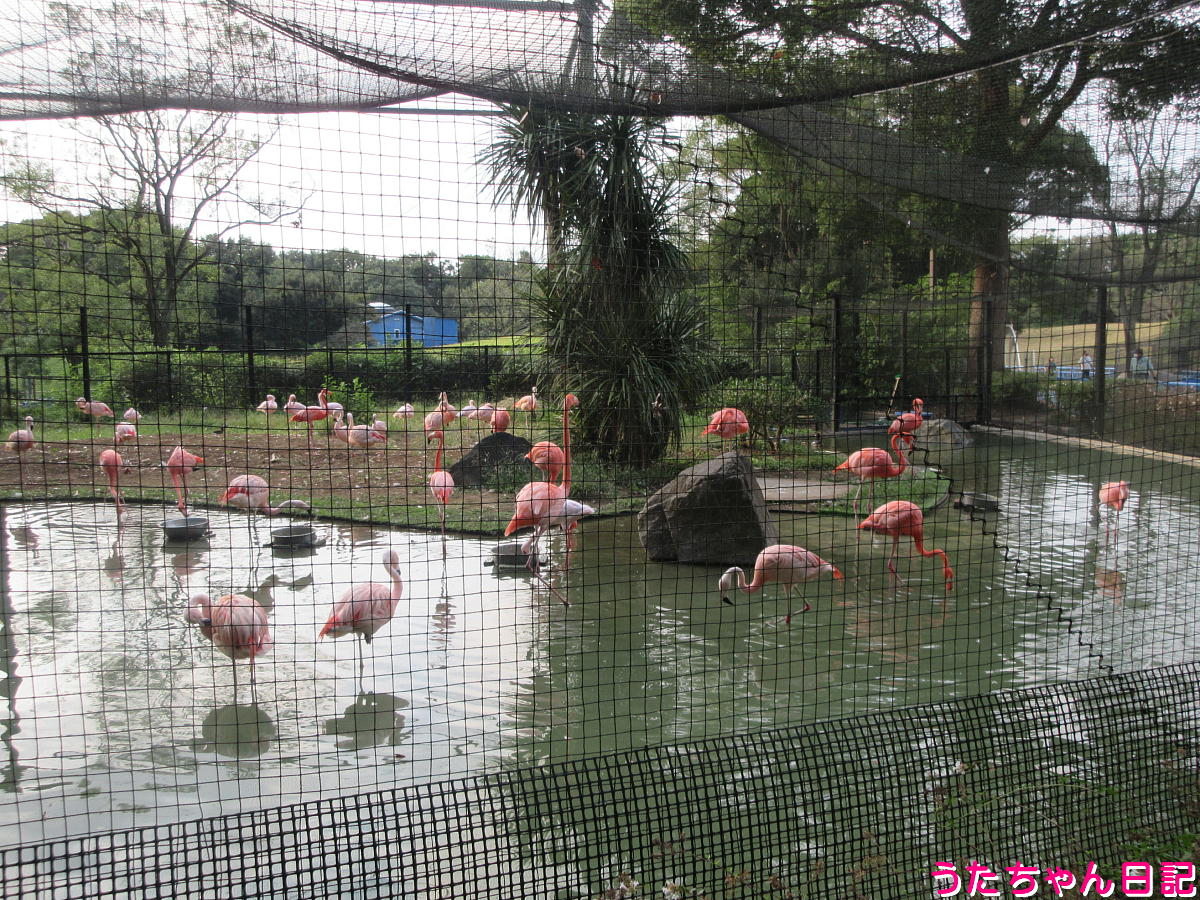 f:id:utachan0831:20211226221849j:plain