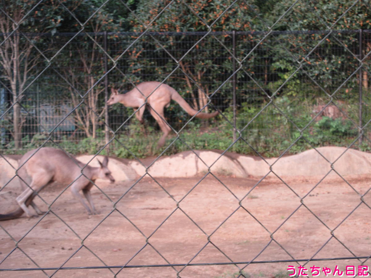 f:id:utachan0831:20211226221912j:plain