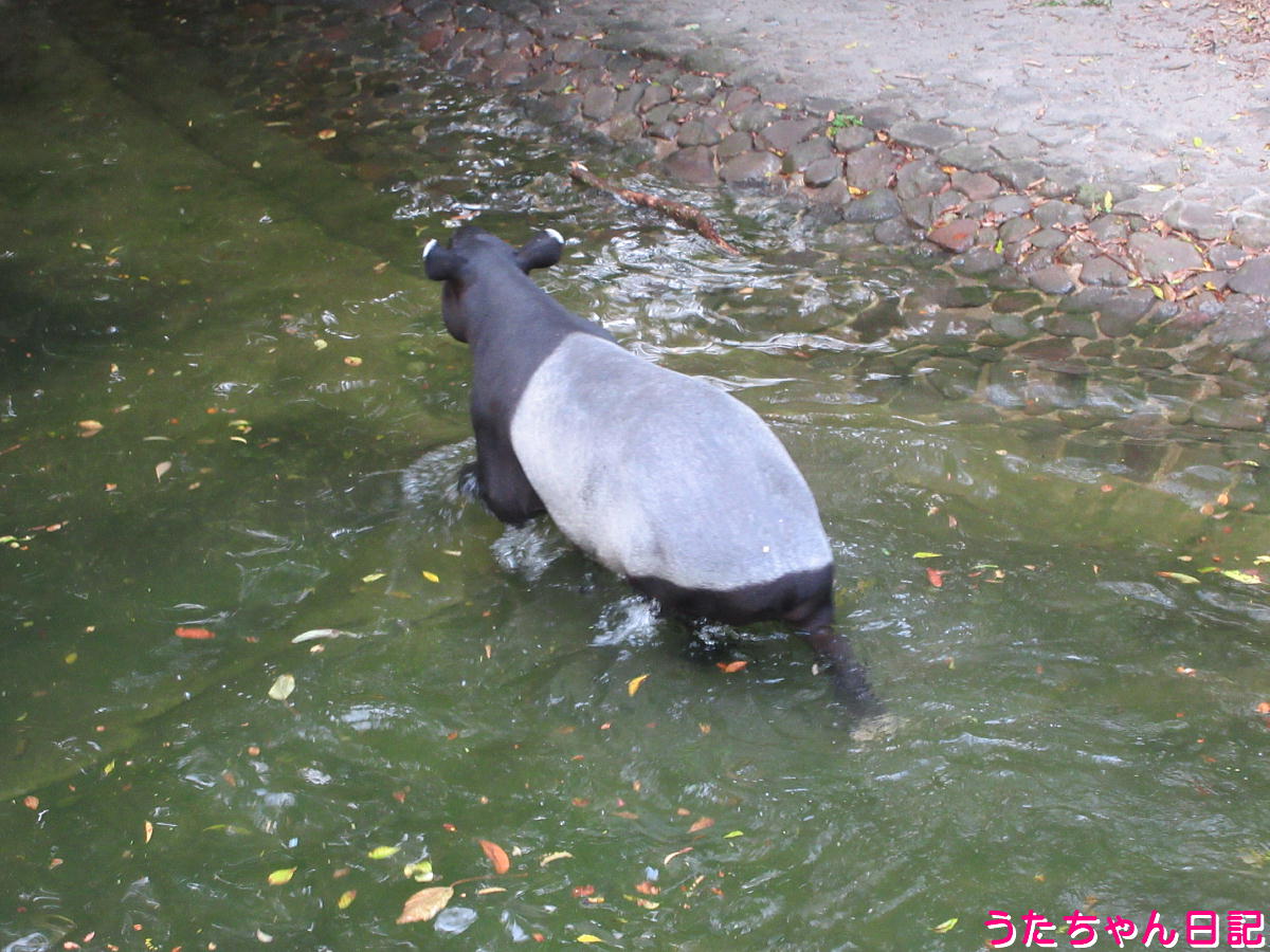 f:id:utachan0831:20211226221921j:plain