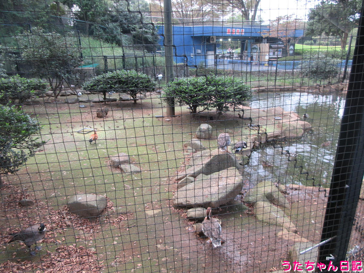 f:id:utachan0831:20211226221941j:plain