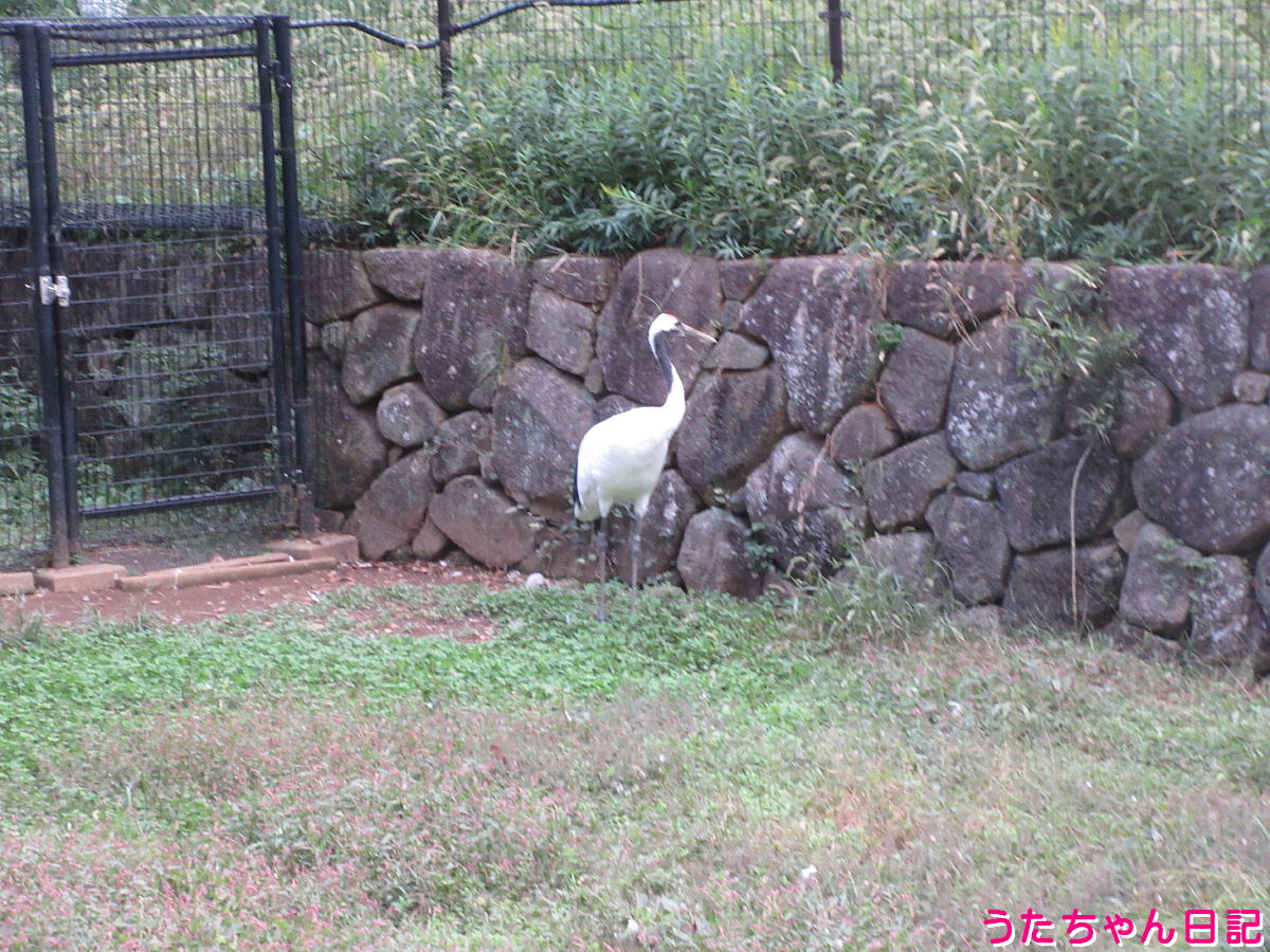 f:id:utachan0831:20211226221952j:plain