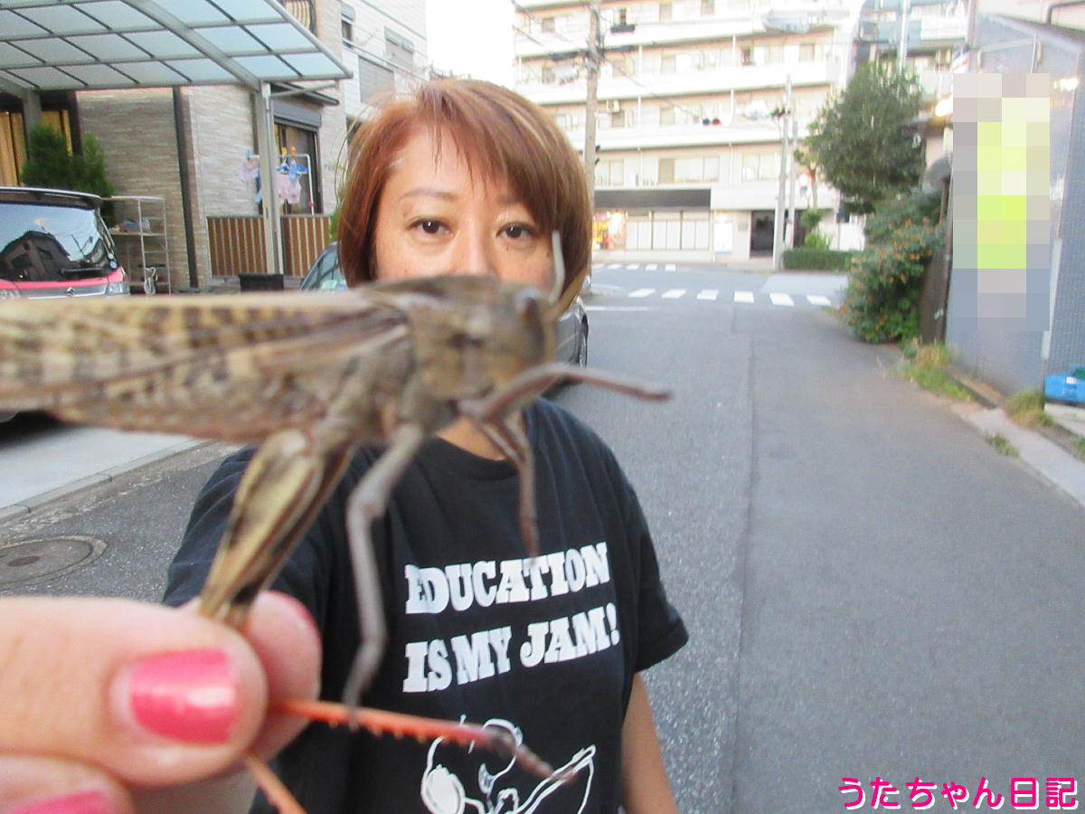 f:id:utachan0831:20211229234931j:plain