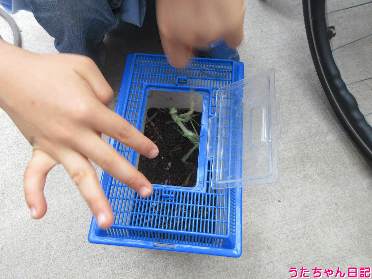 f:id:utachan0831:20220104053708j:plain