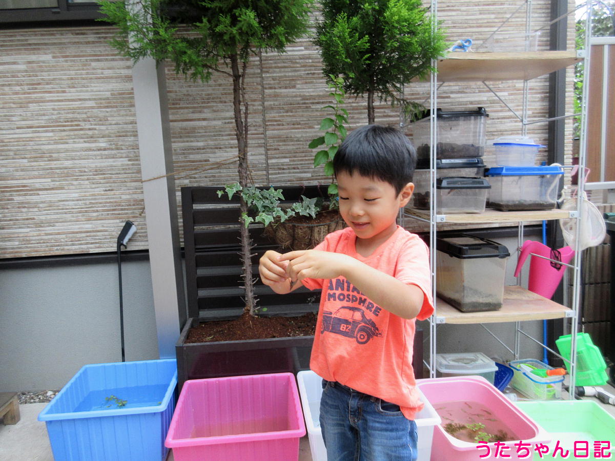 f:id:utachan0831:20220104062740j:plain