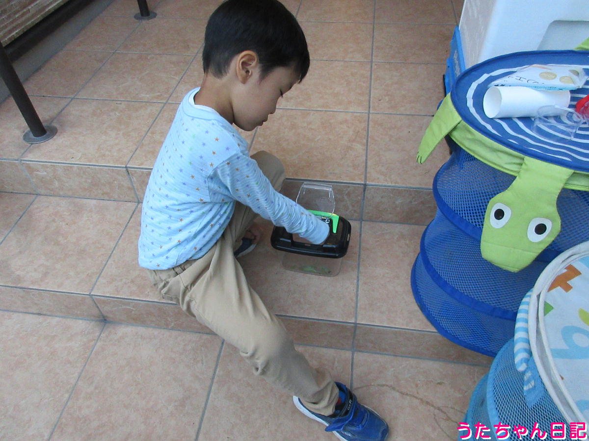 f:id:utachan0831:20220104062807j:plain