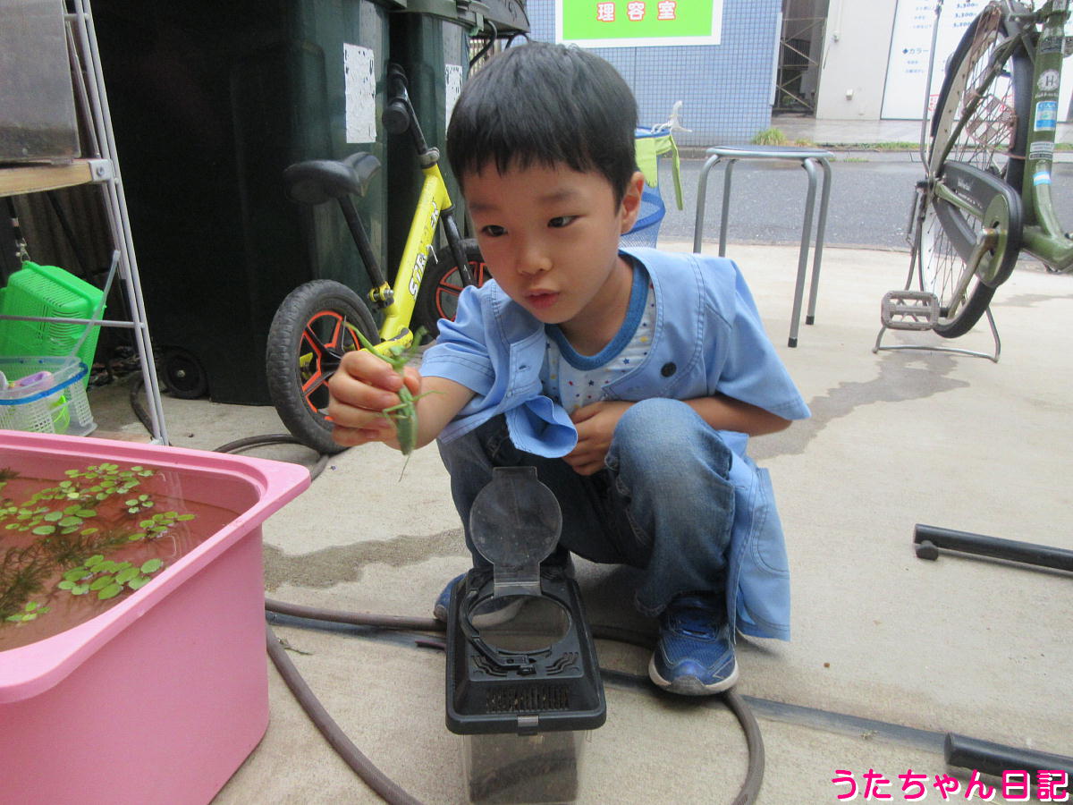 f:id:utachan0831:20220104062815j:plain