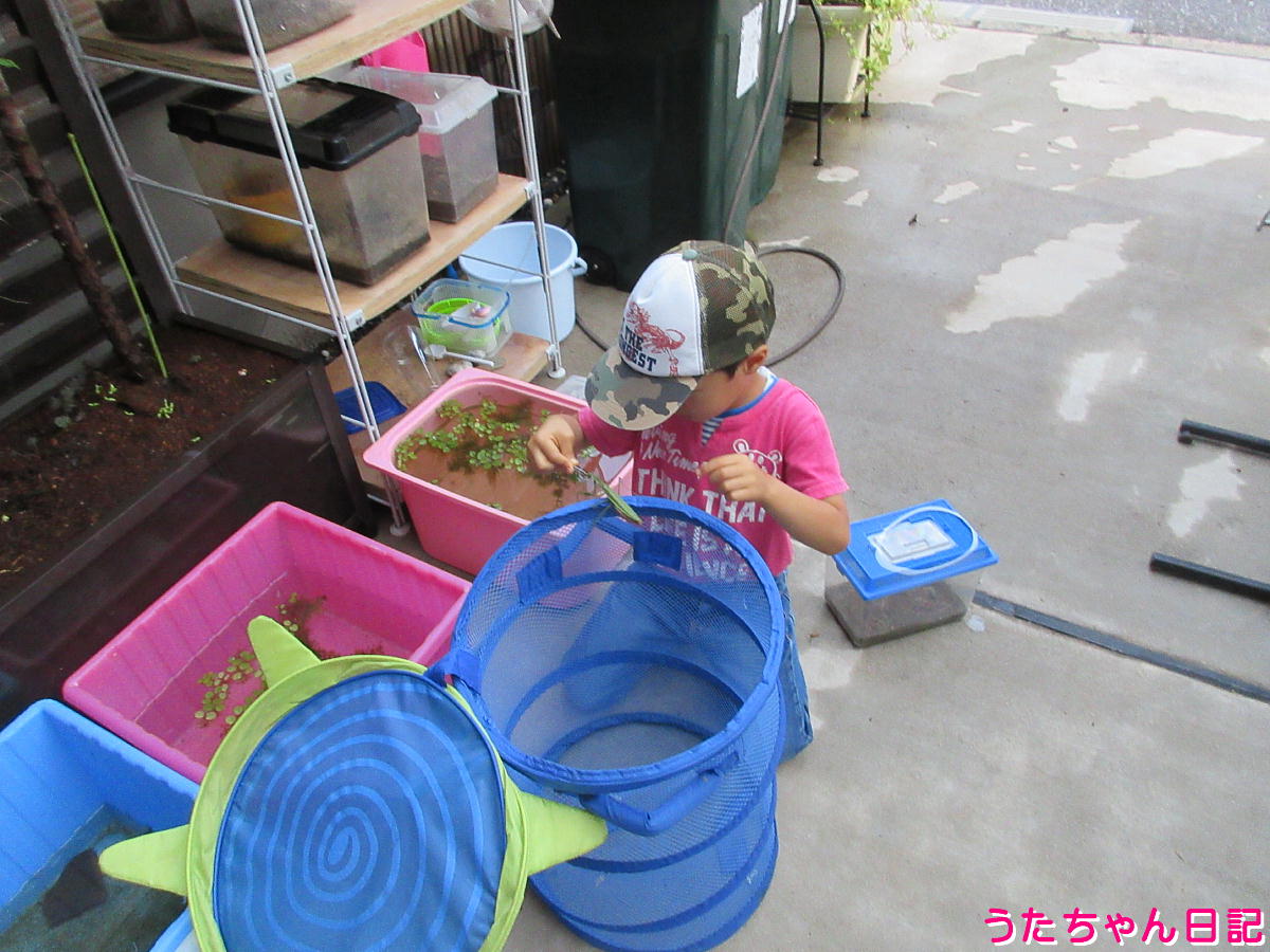 f:id:utachan0831:20220105114525j:plain
