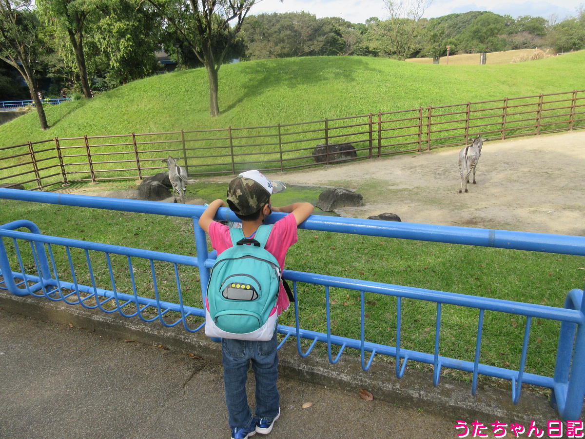 f:id:utachan0831:20220109010429j:plain