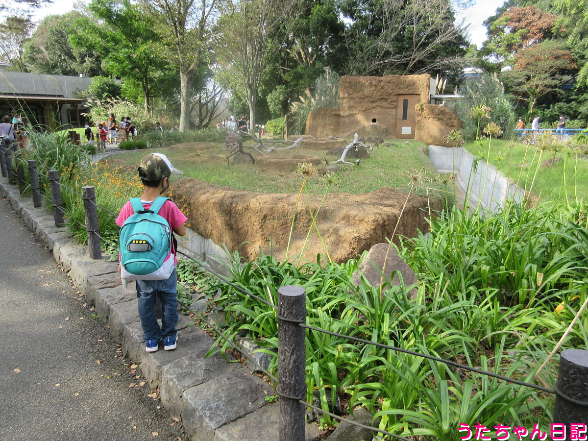 f:id:utachan0831:20220109010437j:plain