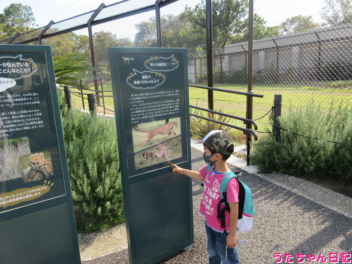 f:id:utachan0831:20220109010445j:plain