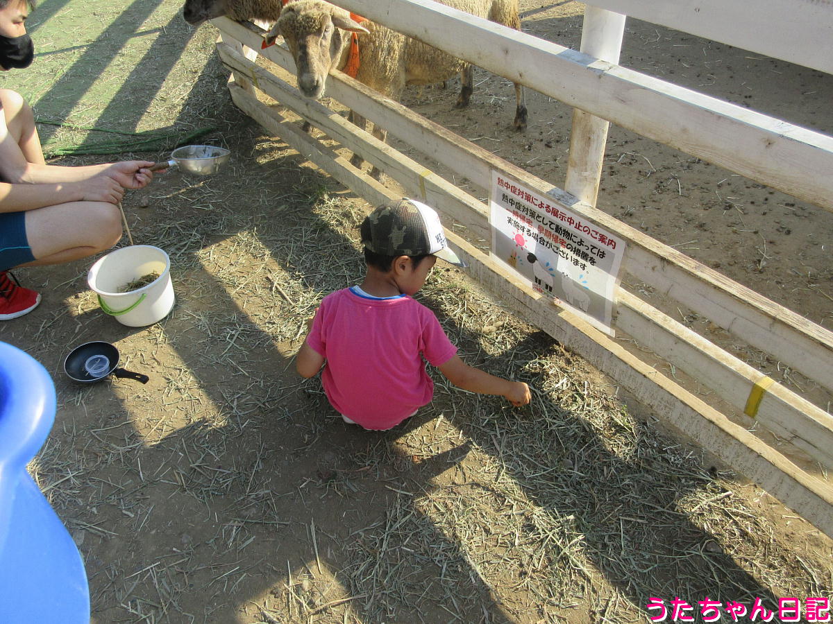 f:id:utachan0831:20220109010517j:plain