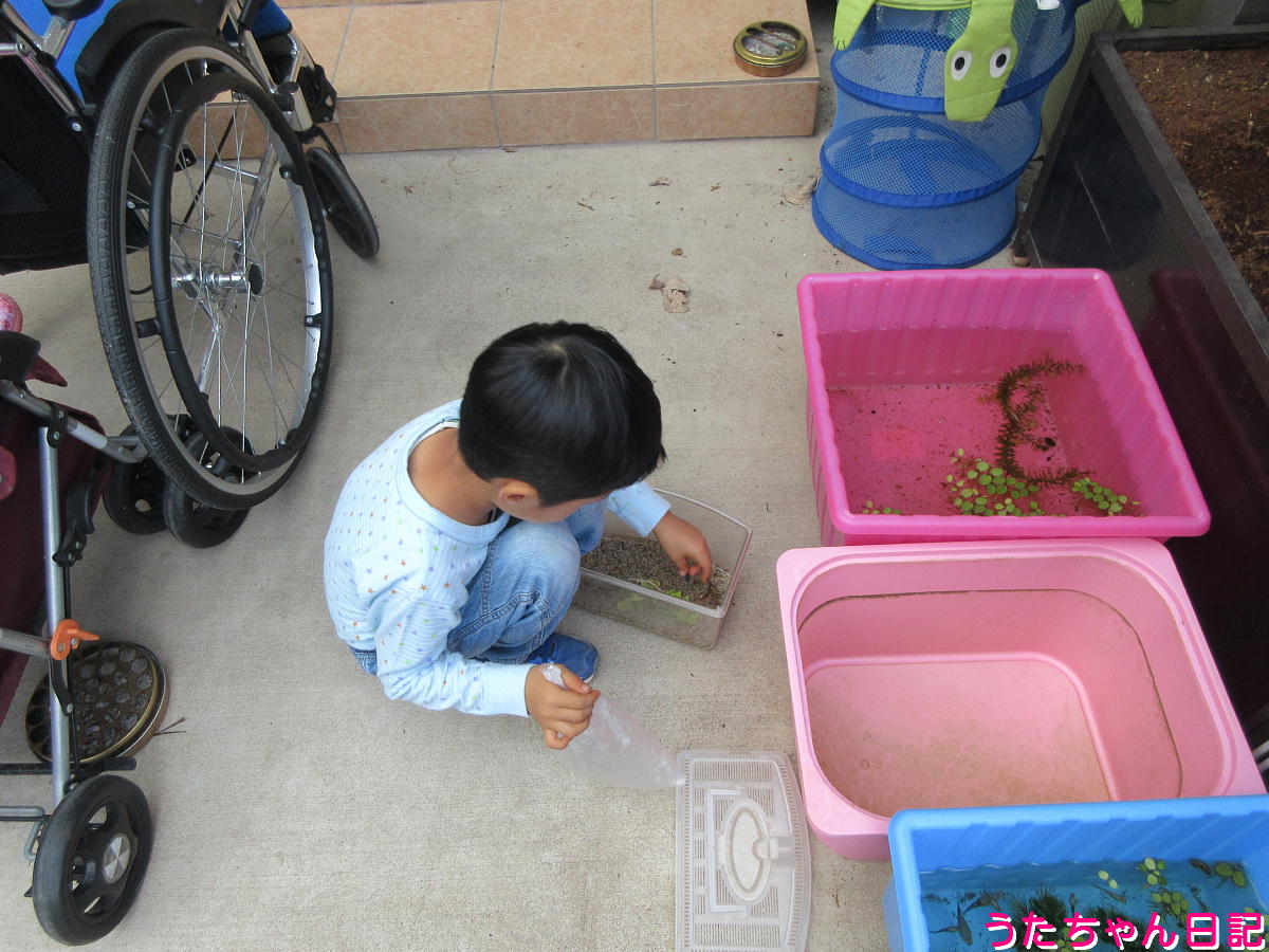 f:id:utachan0831:20220109013942j:plain