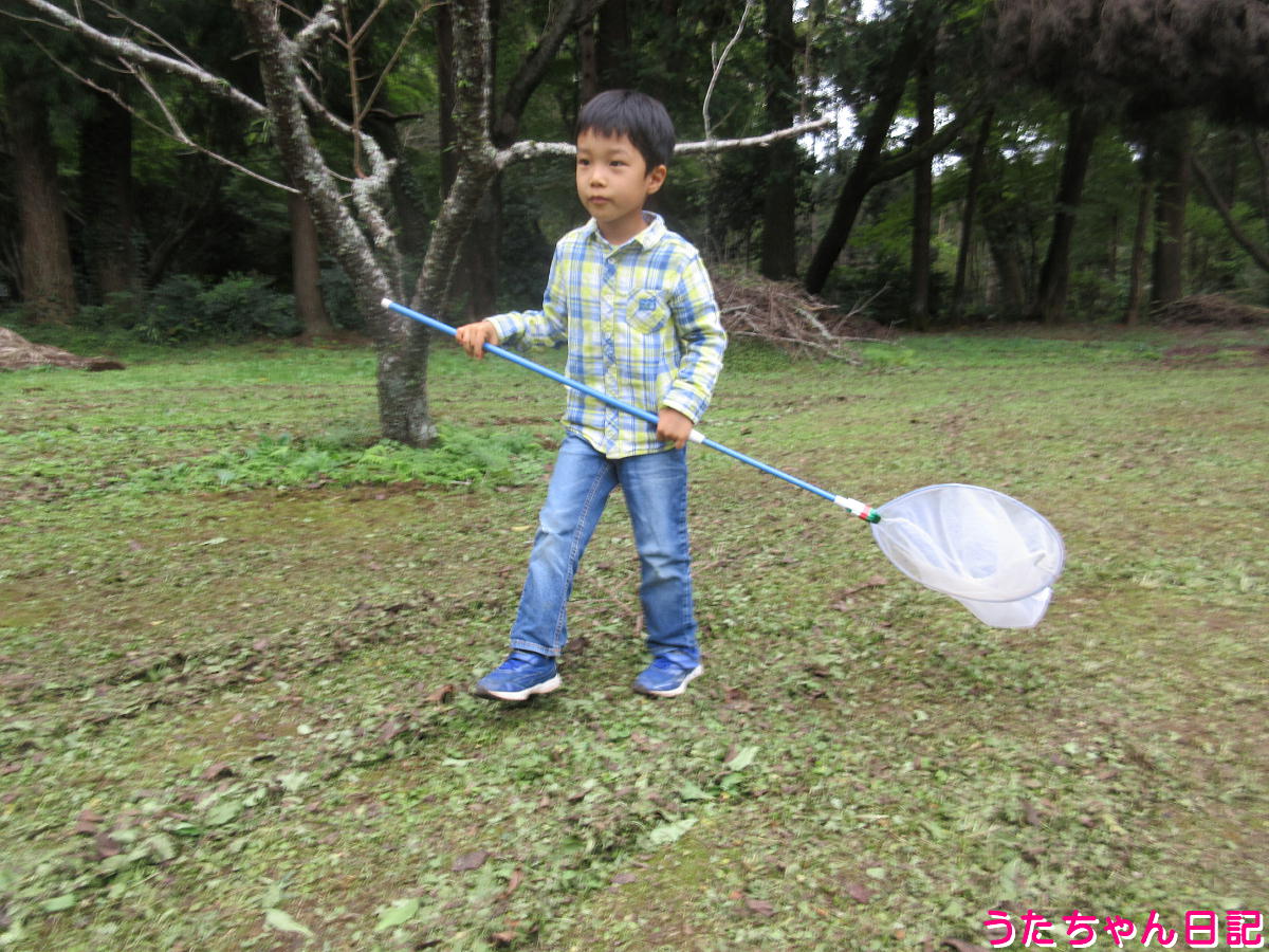 f:id:utachan0831:20220110230255j:plain