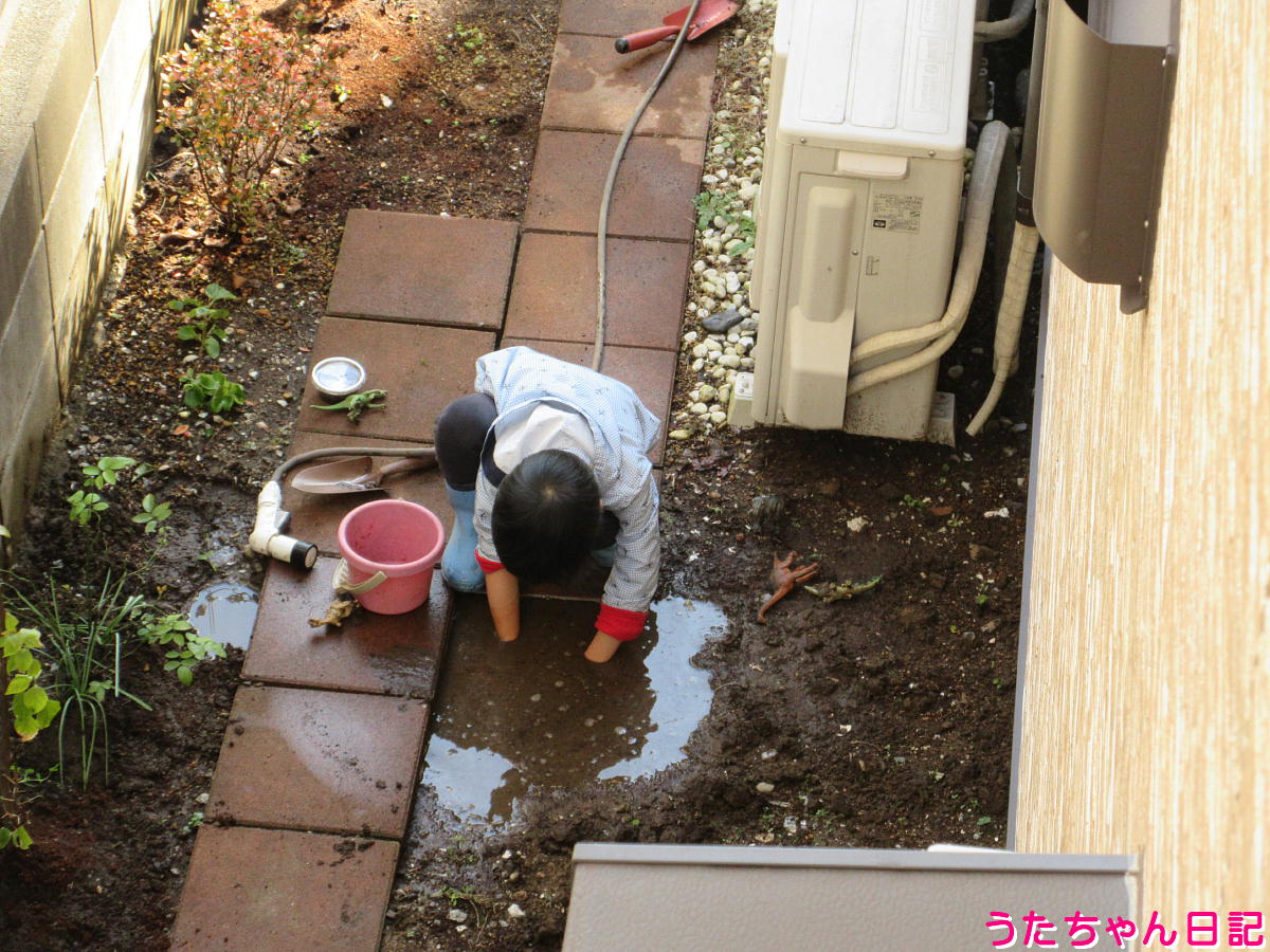 f:id:utachan0831:20220111092524j:plain