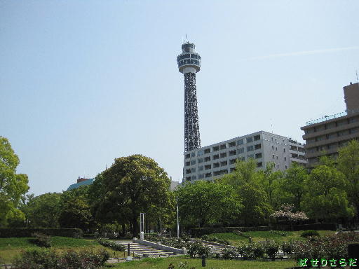 f:id:utachan0831:20220113144747j:plain