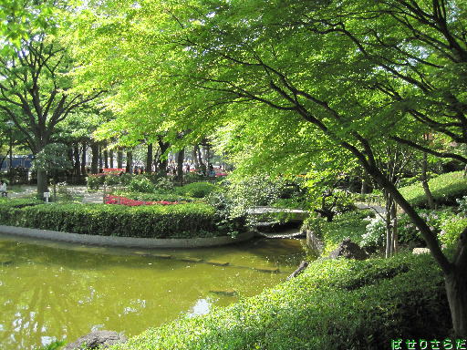 f:id:utachan0831:20220113144755j:plain