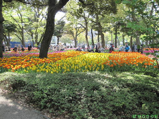 f:id:utachan0831:20220113144803j:plain