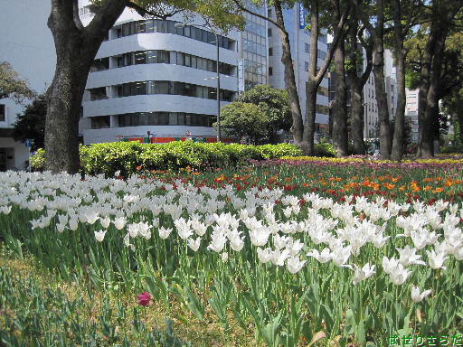 f:id:utachan0831:20220113144827j:plain