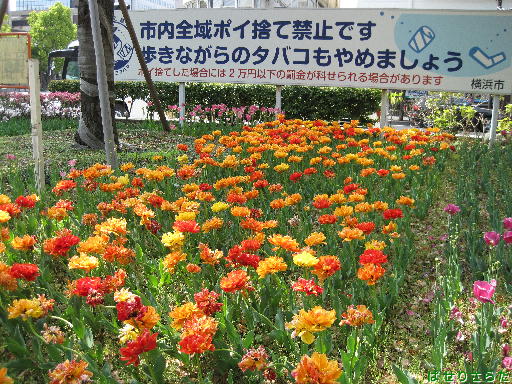 f:id:utachan0831:20220113144837j:plain