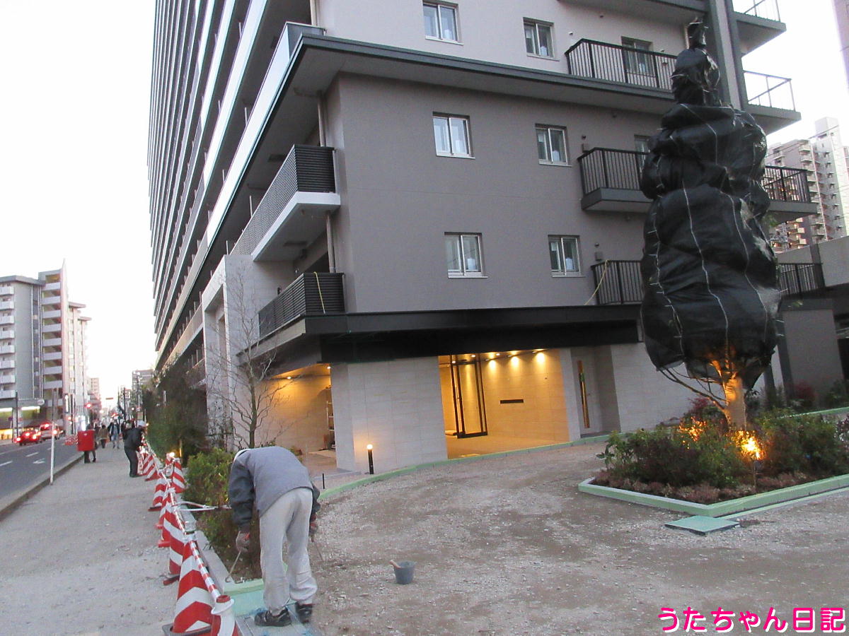 f:id:utachan0831:20220116225901j:plain