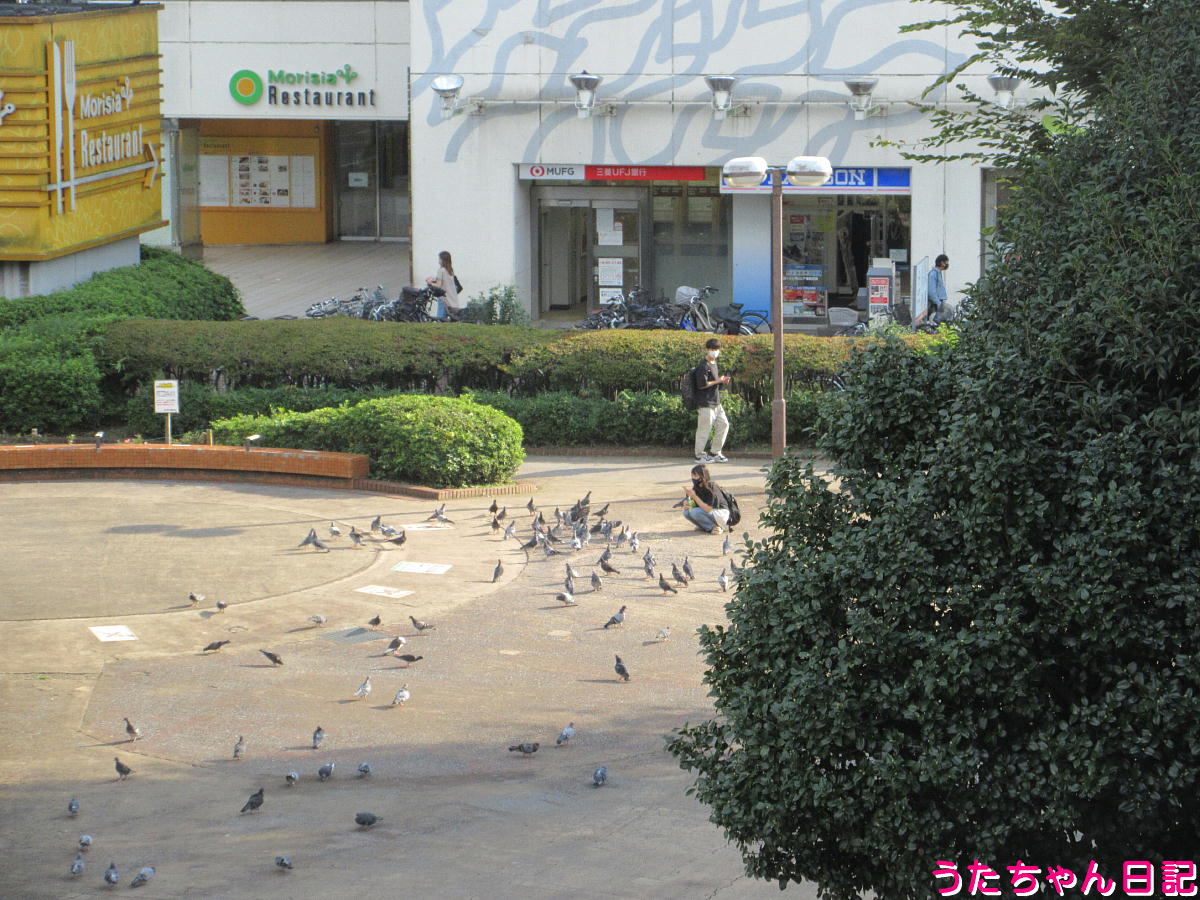 f:id:utachan0831:20220117232729j:plain