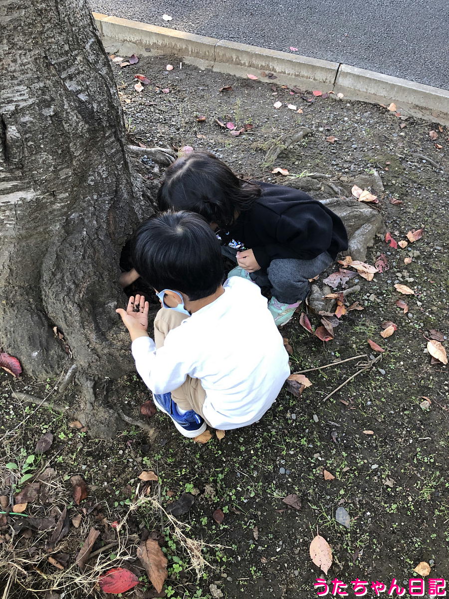 f:id:utachan0831:20220120145201j:plain