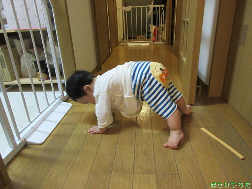 f:id:utachan0831:20220122000946j:plain