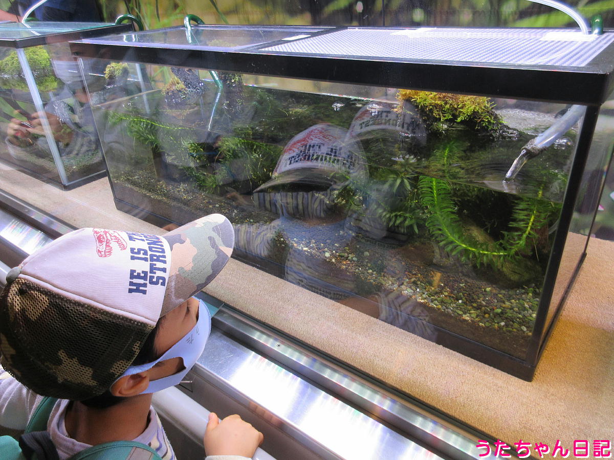 f:id:utachan0831:20220123012036j:plain