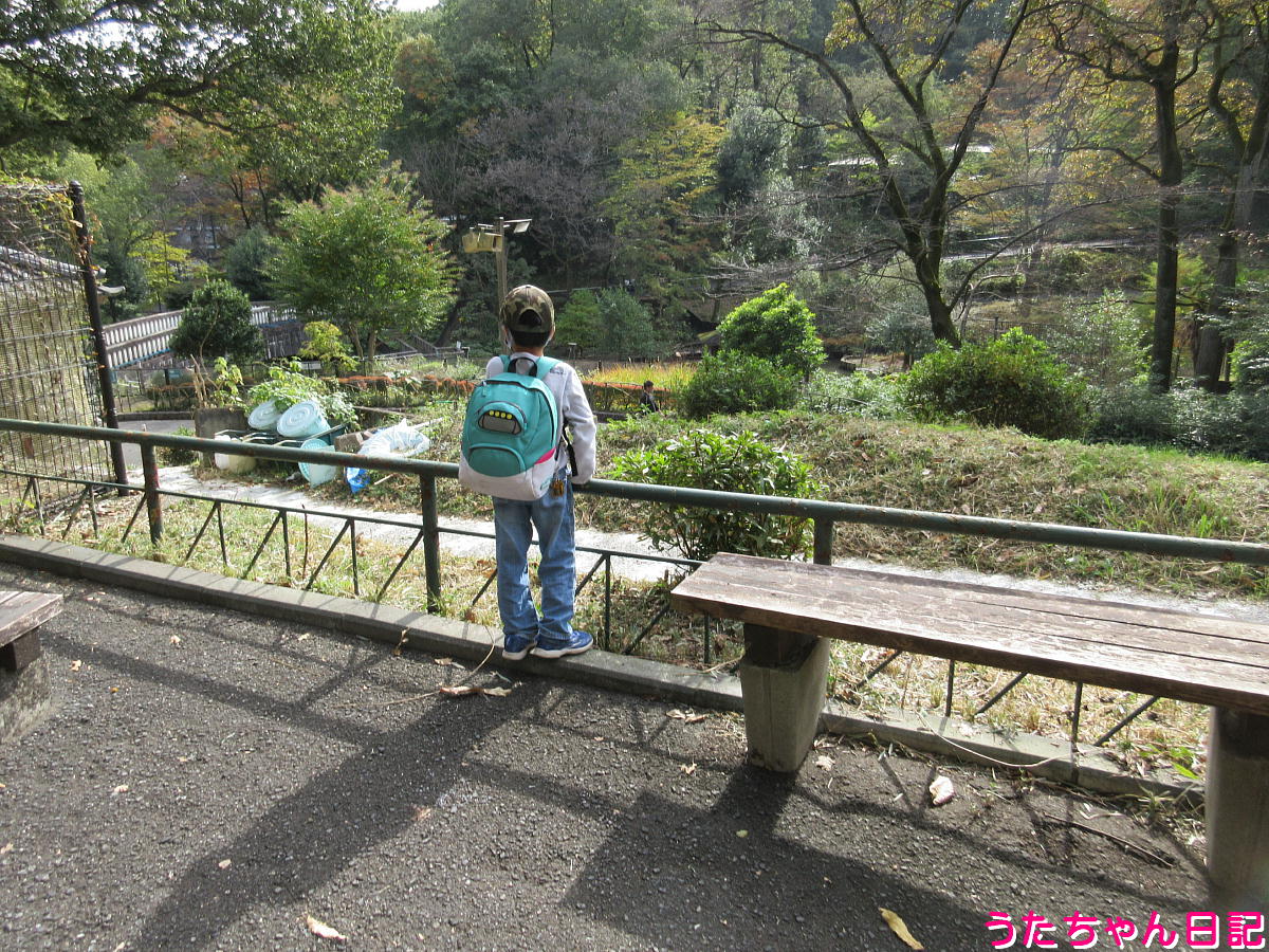 f:id:utachan0831:20220123233853j:plain