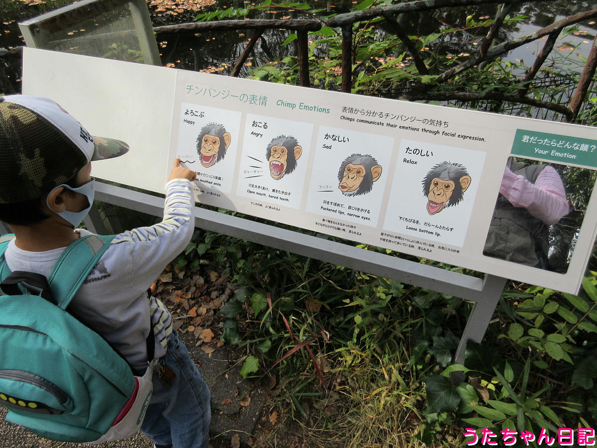 f:id:utachan0831:20220123233901j:plain