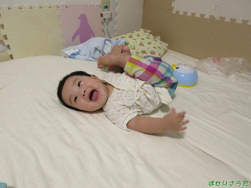 f:id:utachan0831:20220127014127j:plain