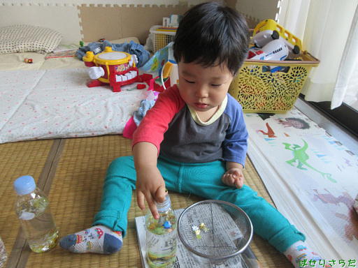 f:id:utachan0831:20220131001259j:plain