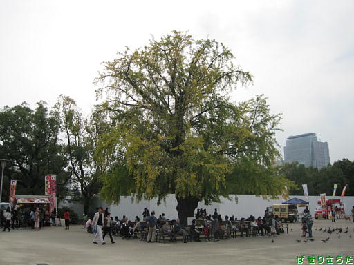 f:id:utachan0831:20220204074105j:plain