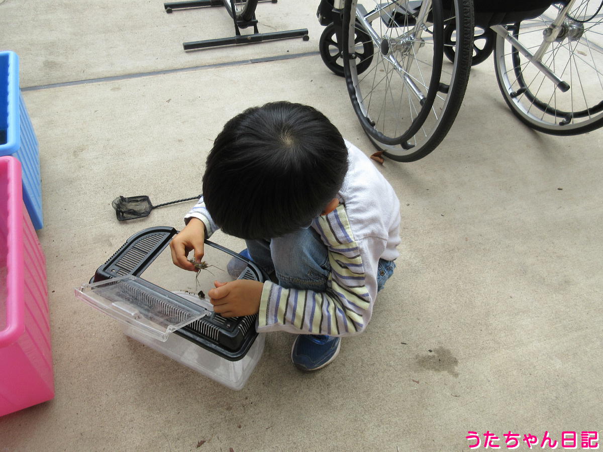 f:id:utachan0831:20220205161156j:plain