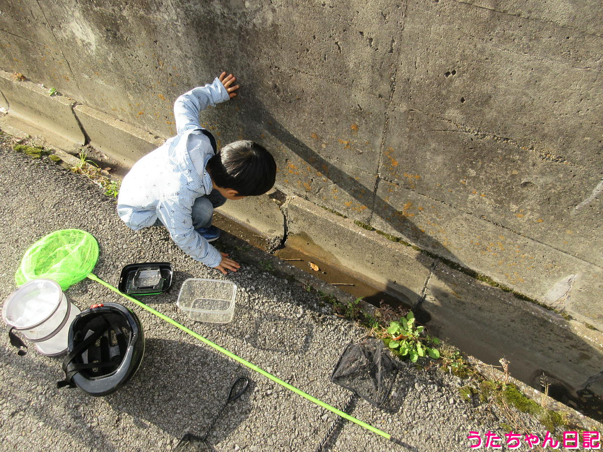 f:id:utachan0831:20220205232134j:plain