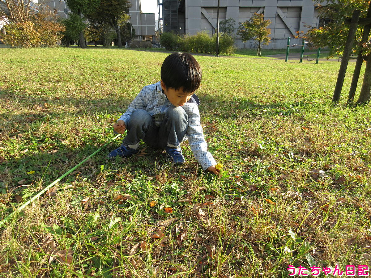 f:id:utachan0831:20220205232141j:plain