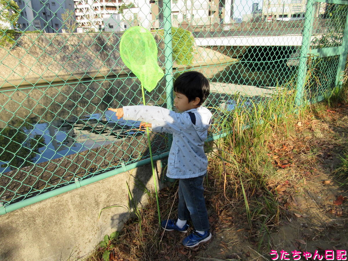 f:id:utachan0831:20220205232149j:plain