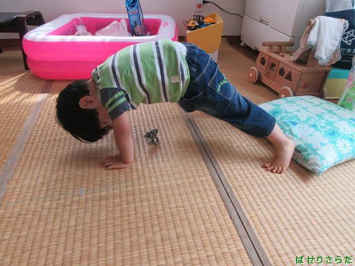 f:id:utachan0831:20220206121112j:plain